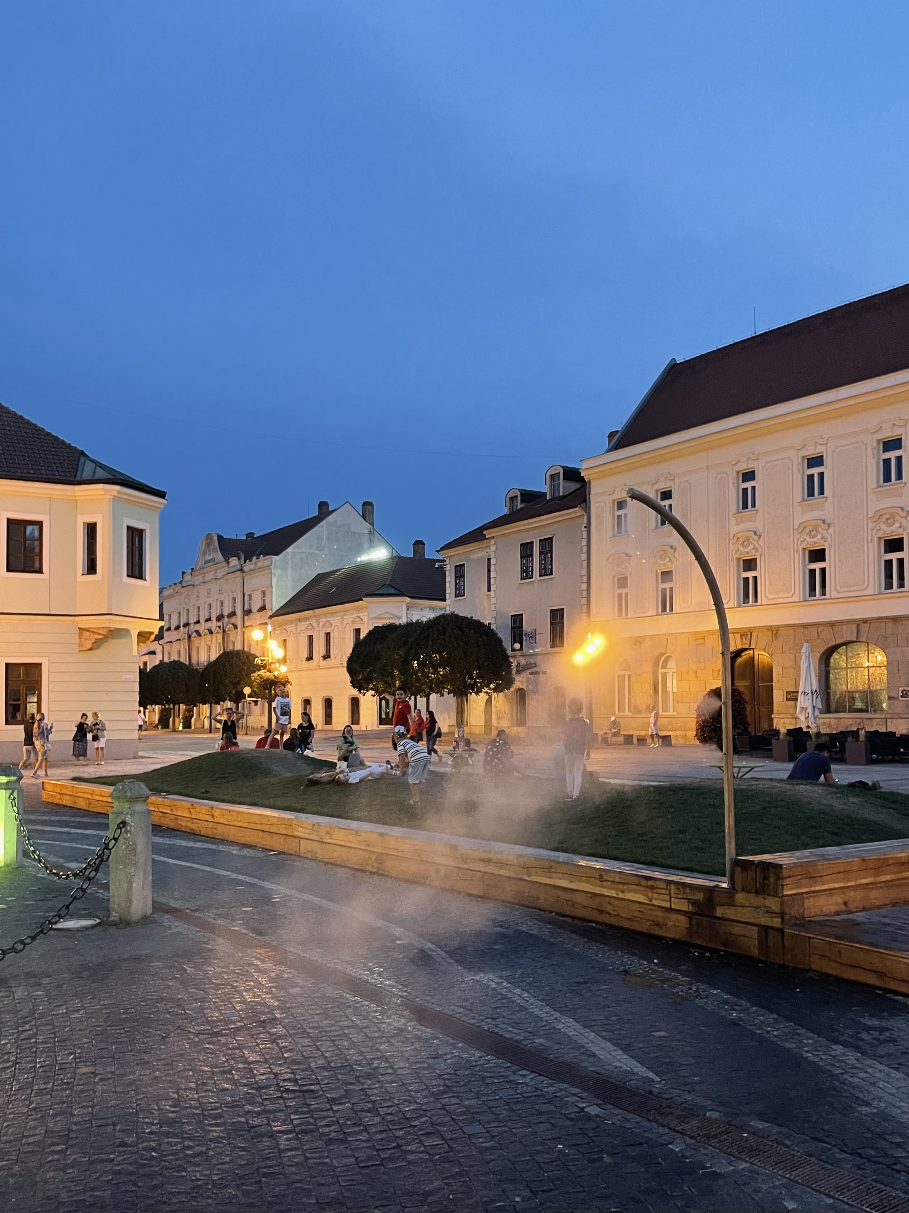 zahony-trnava-15.jpg