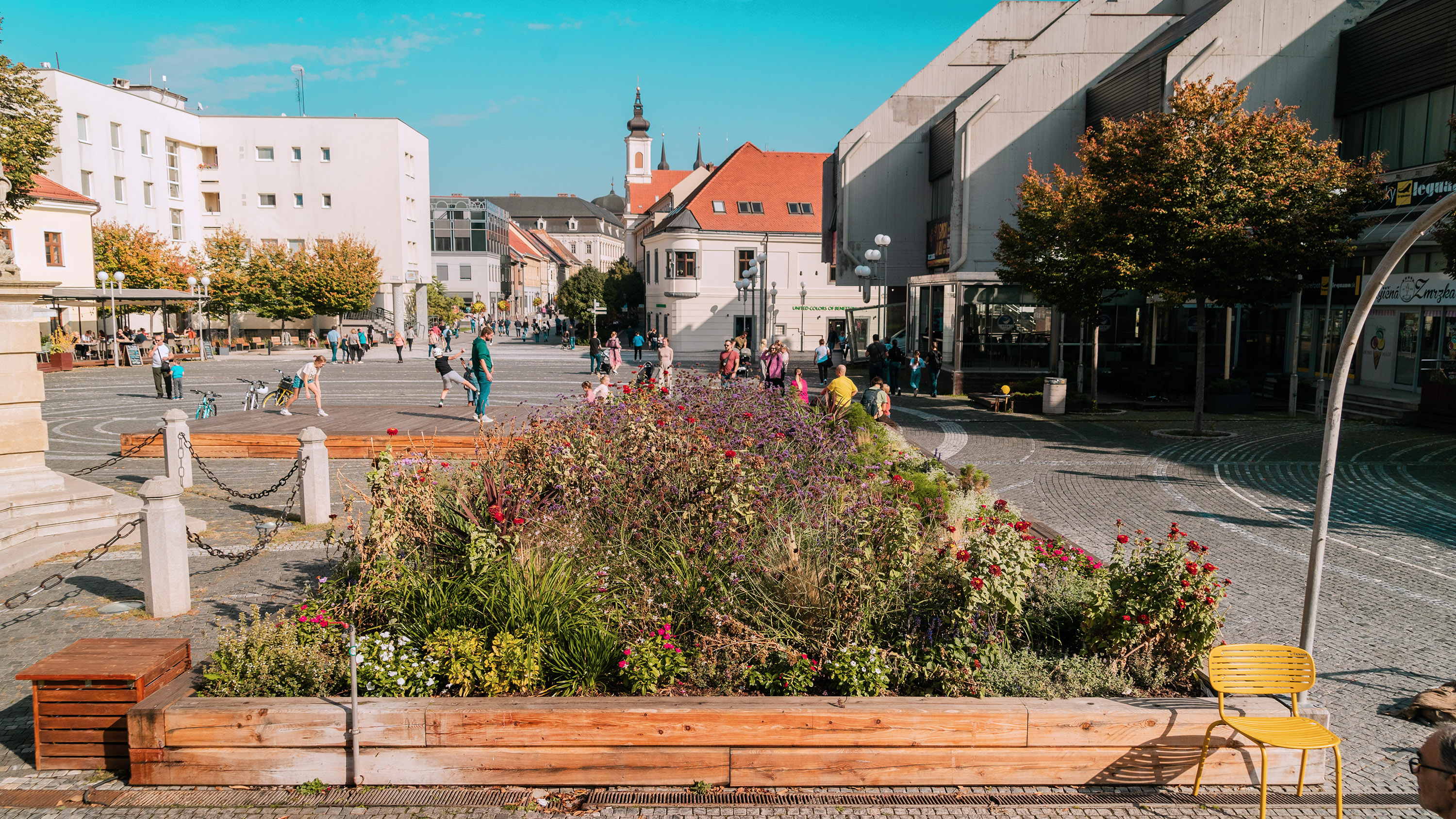zahony-trnava-16.jpg
